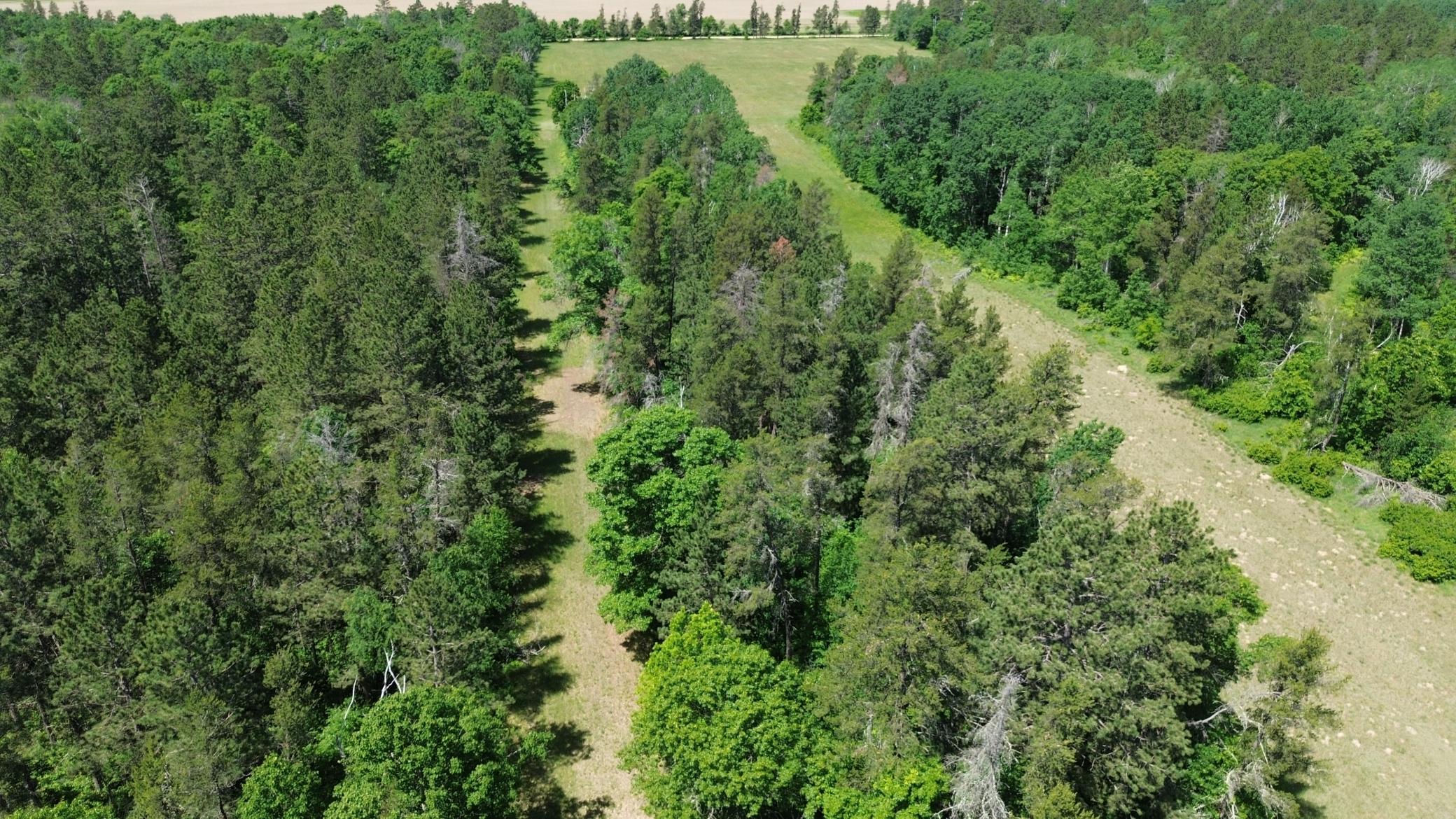 DJI_0231.JPG