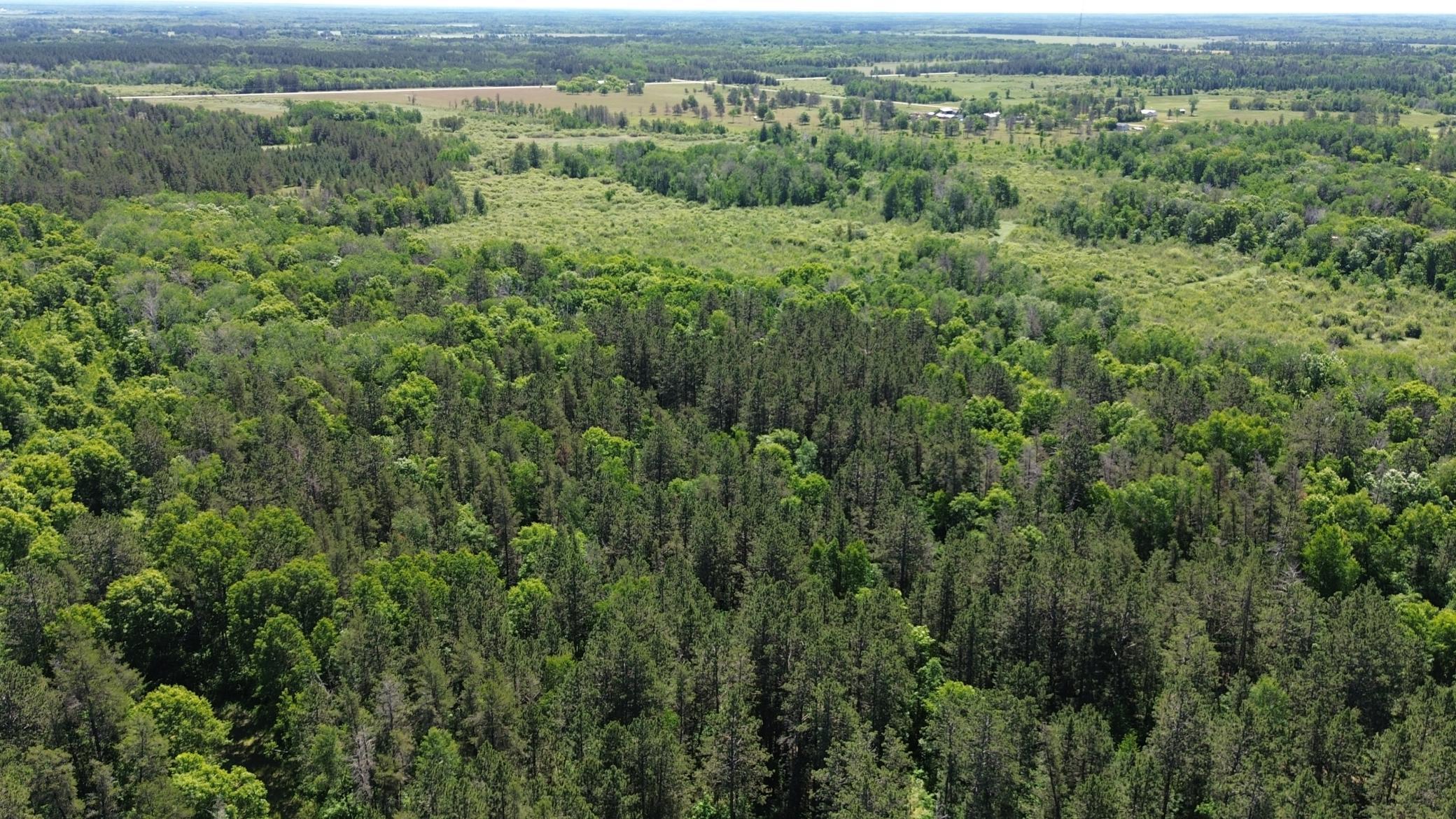 DJI_0217.JPG