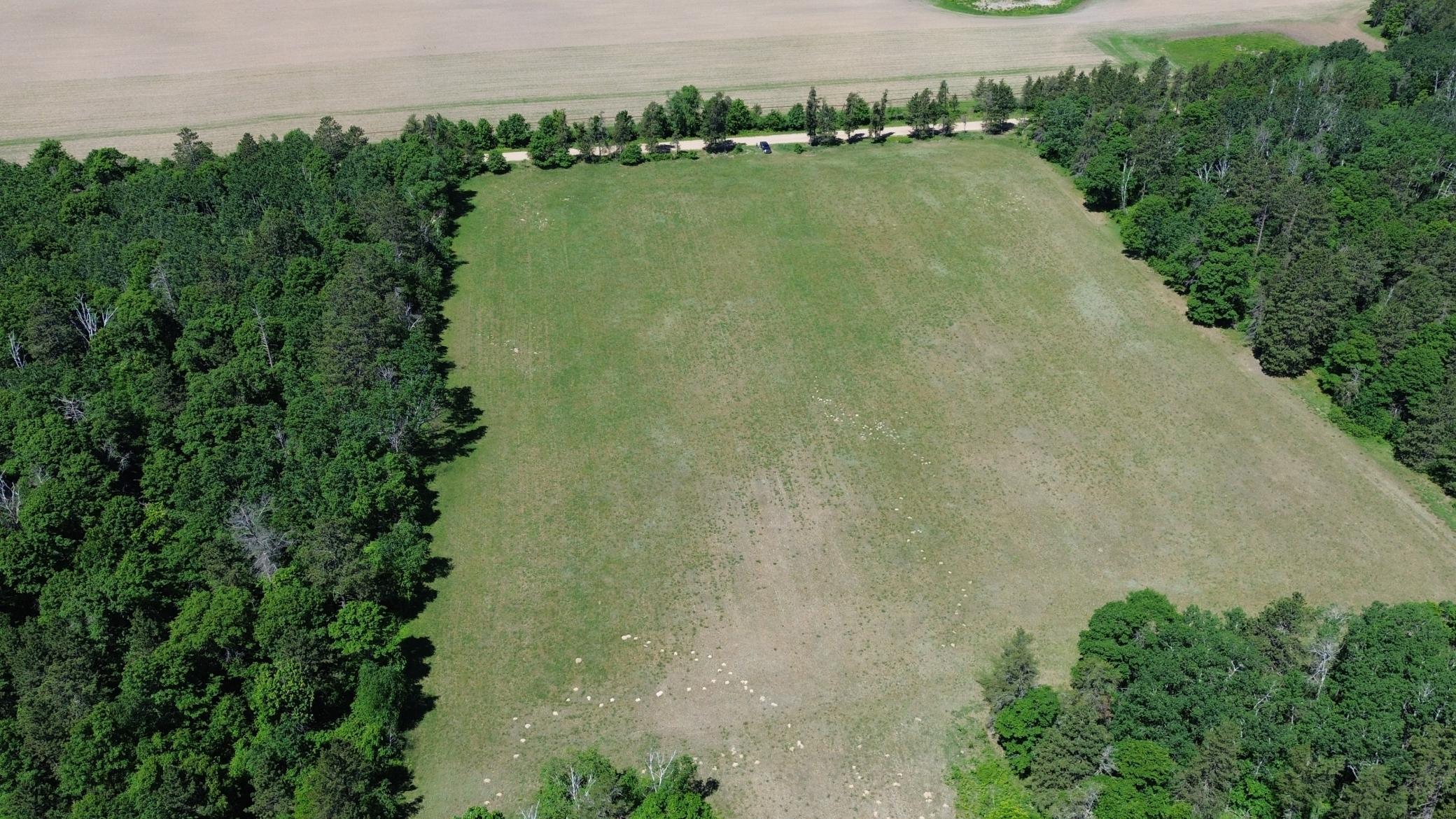 DJI_0219.JPG