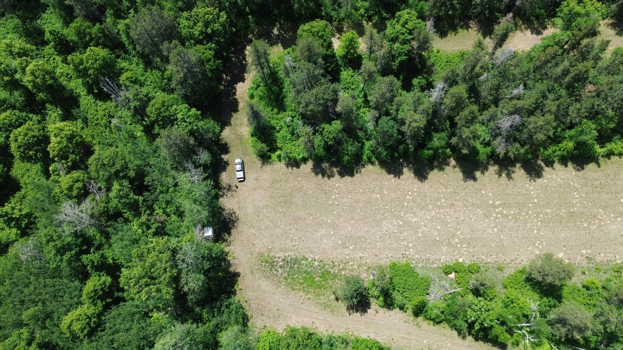 DJI_0236.JPG
