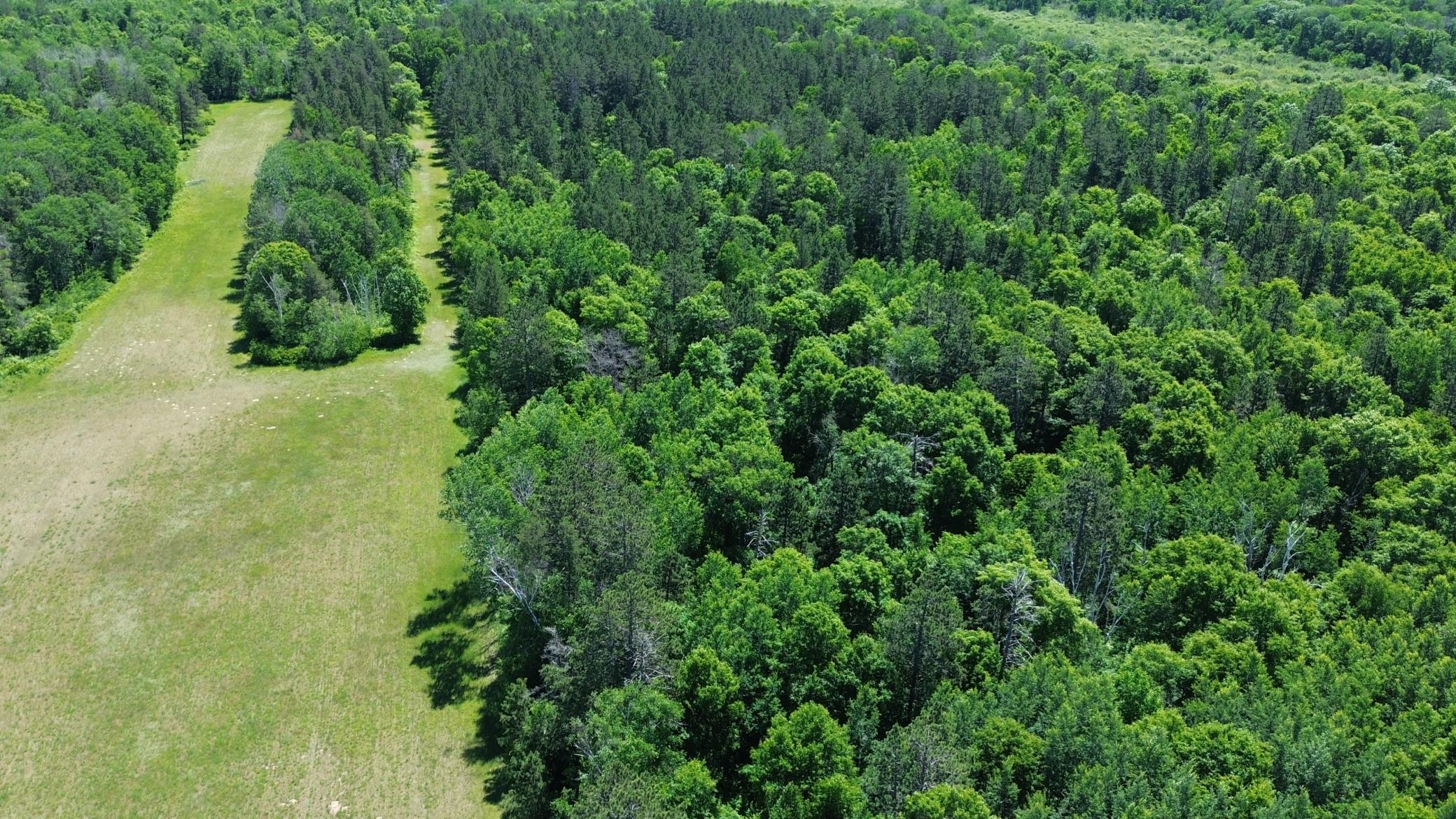 DJI_0214.JPG