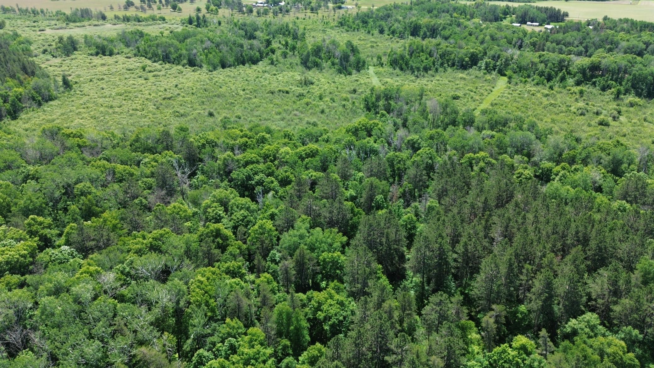 DJI_0233.JPG