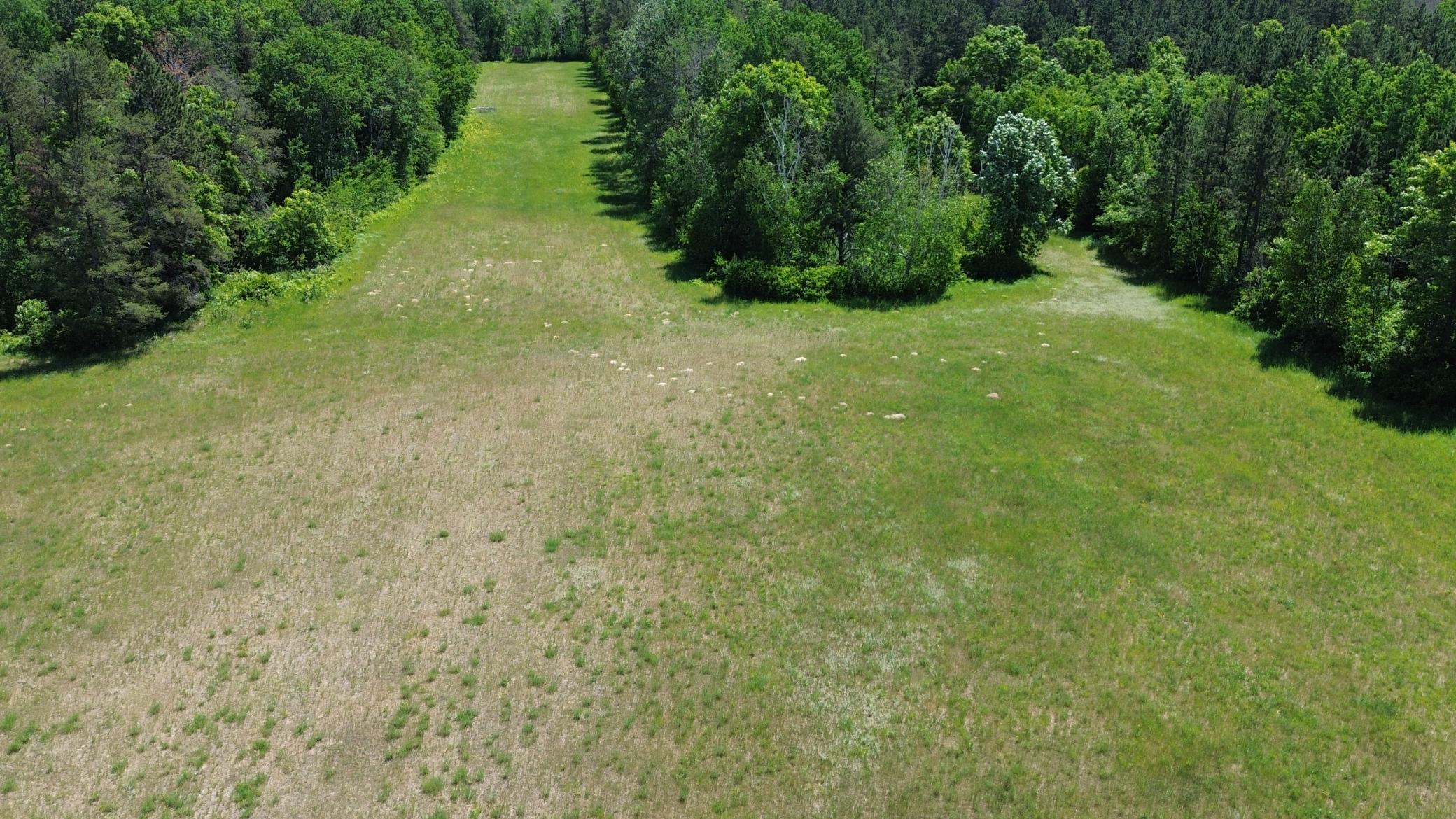 DJI_0221.JPG