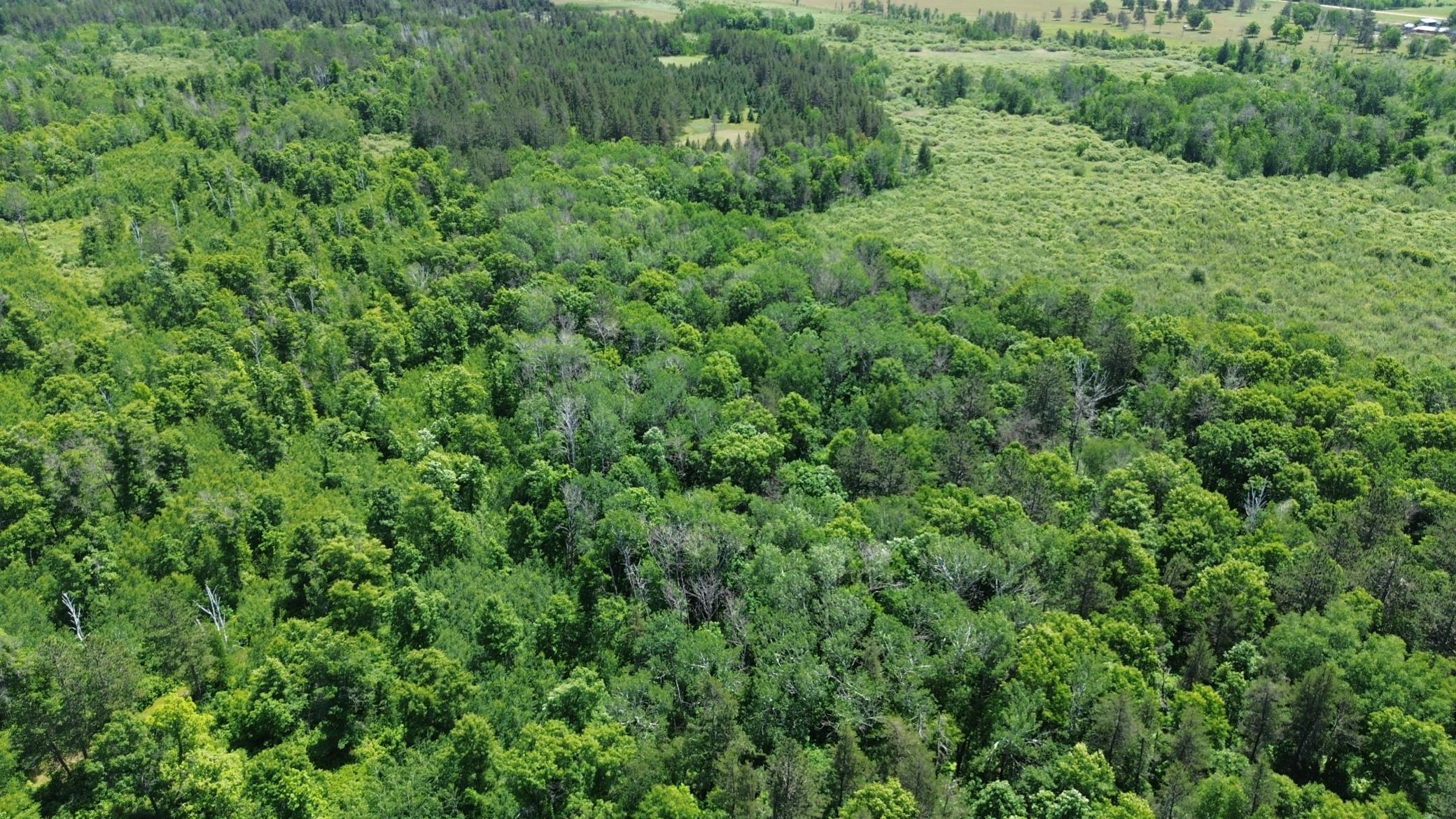 DJI_0232.JPG
