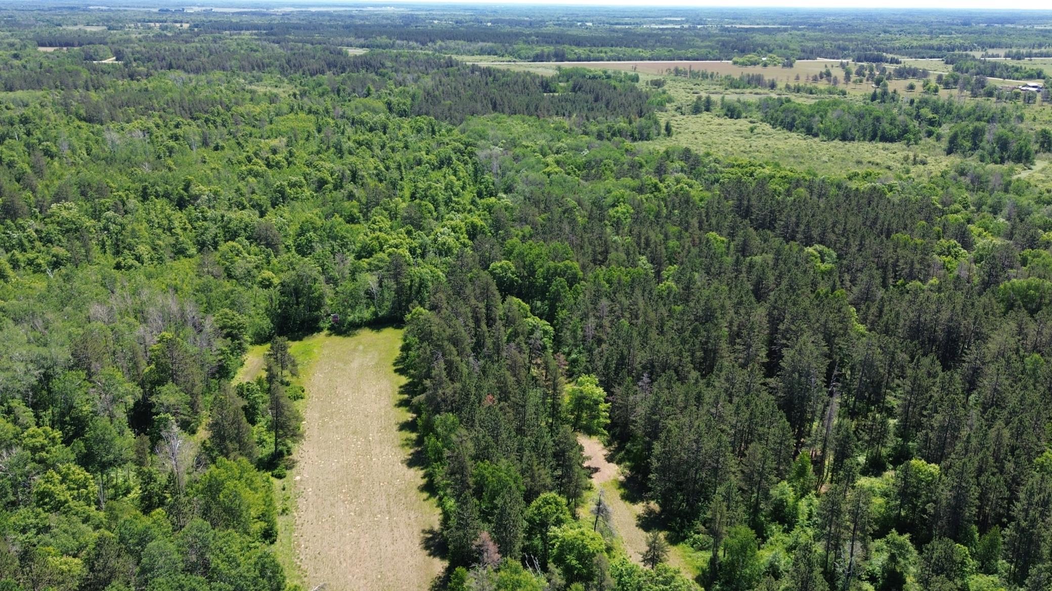 DJI_0215.JPG