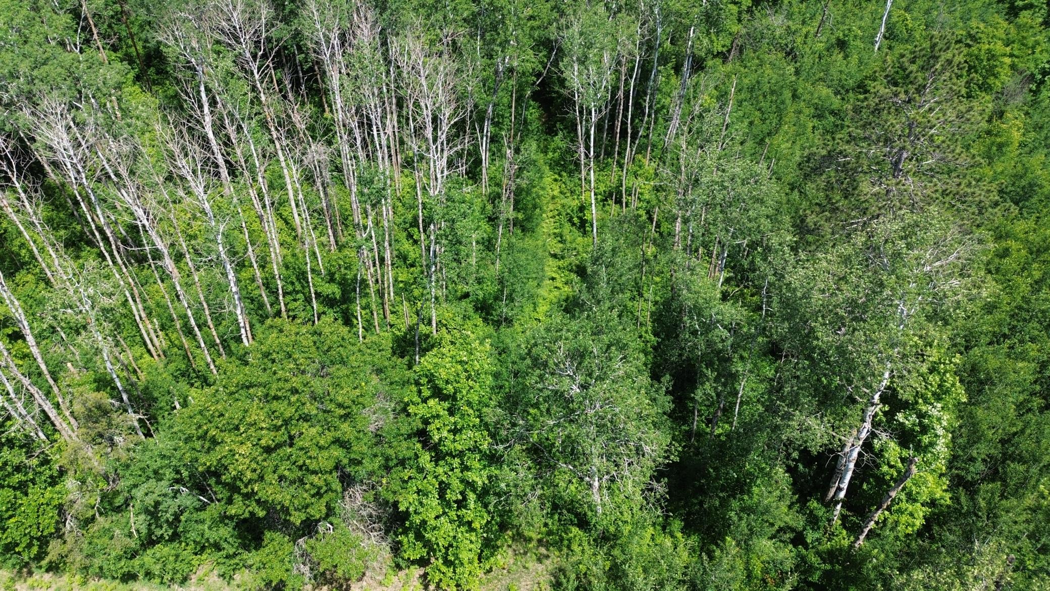 DJI_0230.JPG