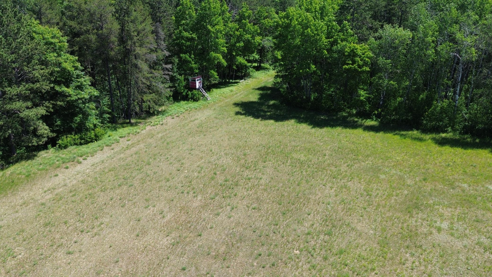 DJI_0220.JPG