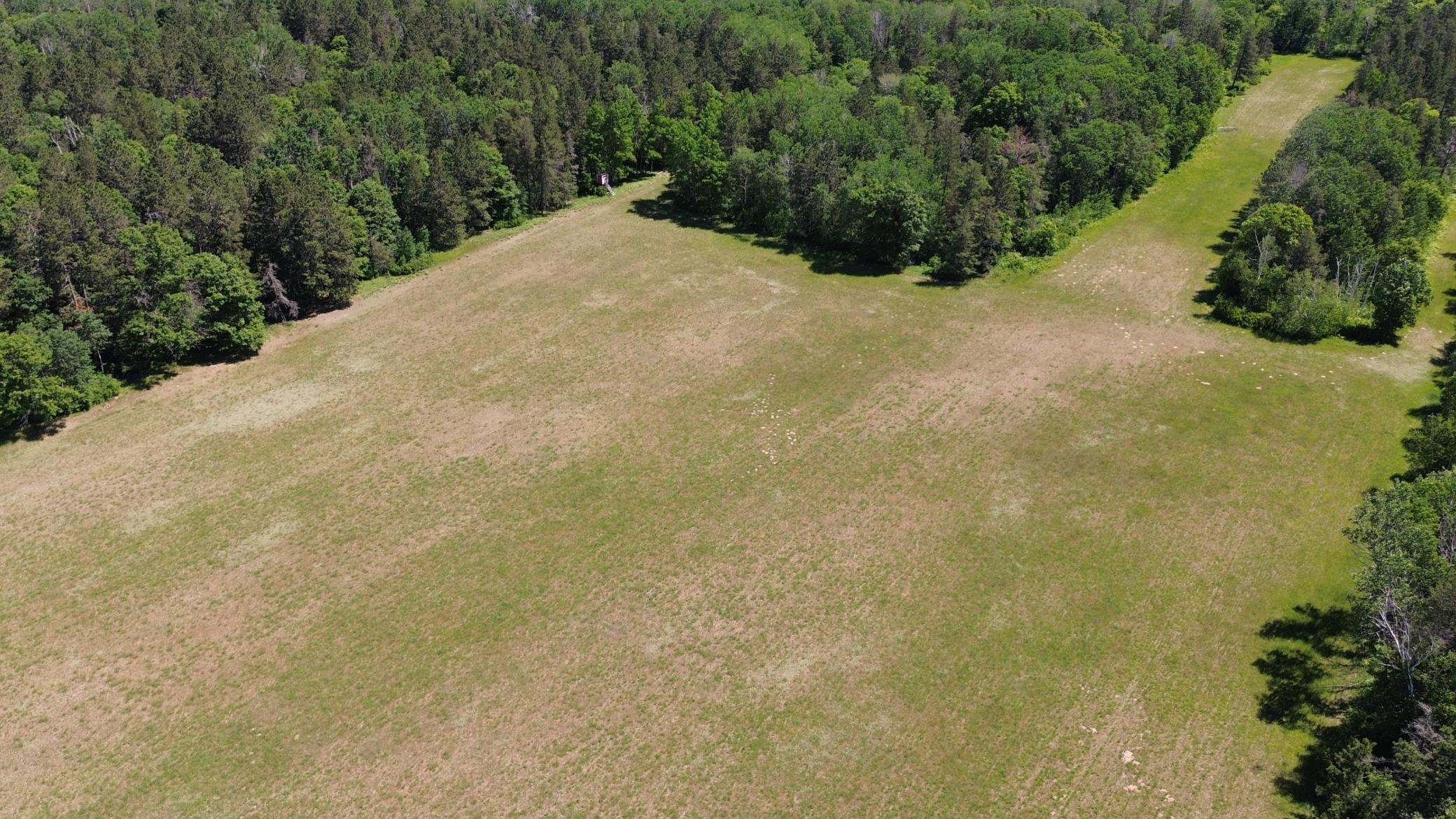 DJI_0212.JPG