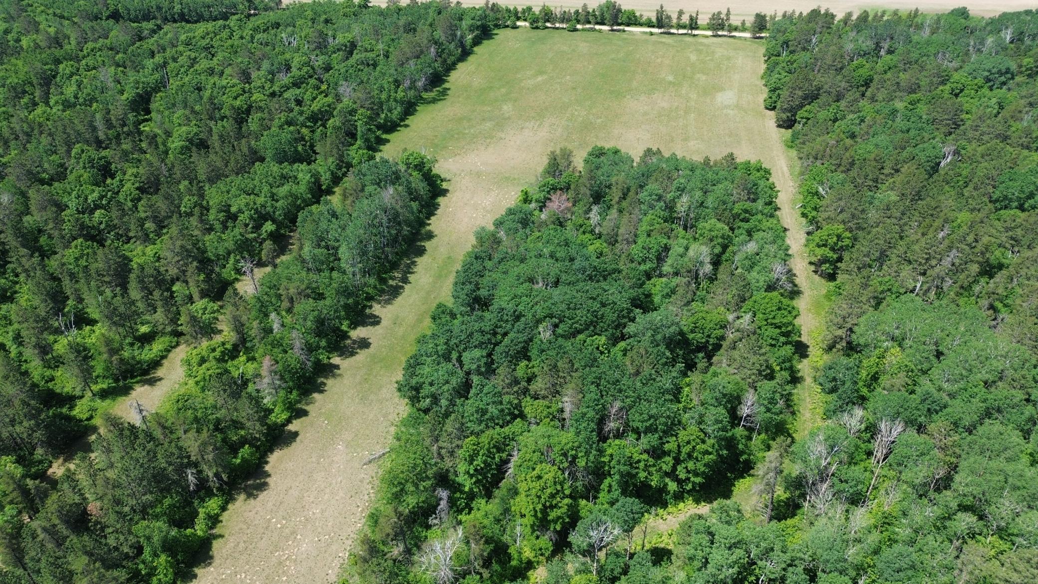 DJI_0234.JPG