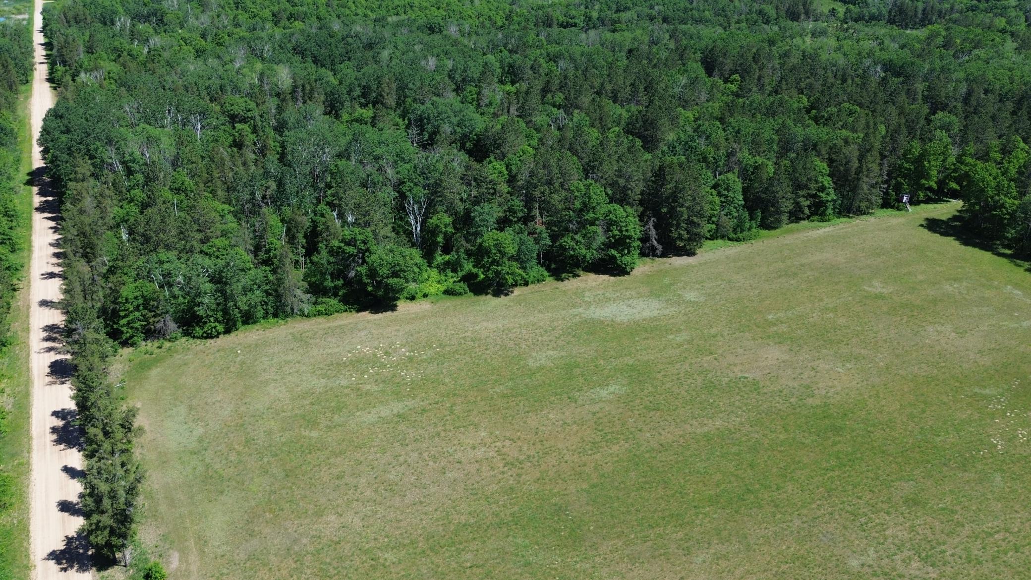 DJI_0213.JPG