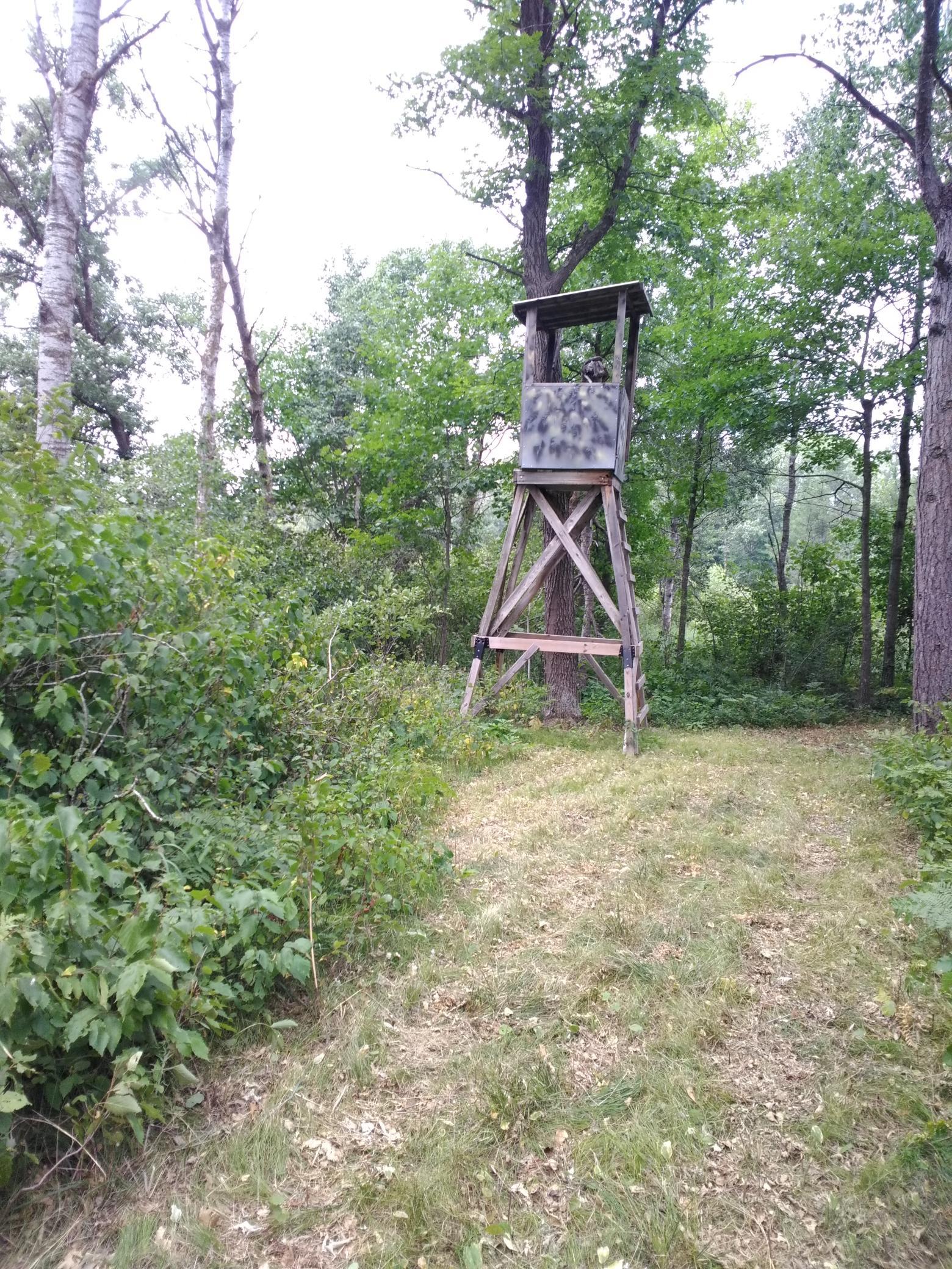 Deer Stand 4 of 6