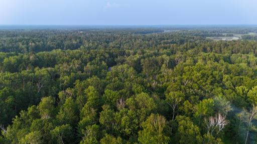 TBD Raccoon Lane, Breezy Point, MN 56472