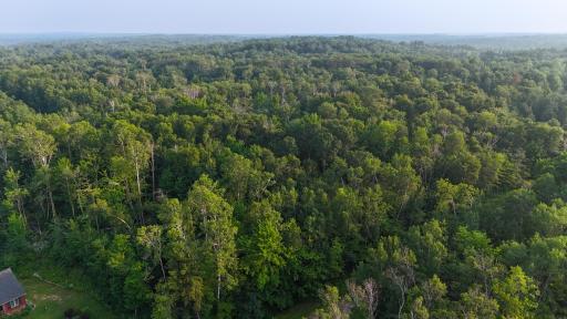 TBD Raccoon Lane, Breezy Point, MN 56472