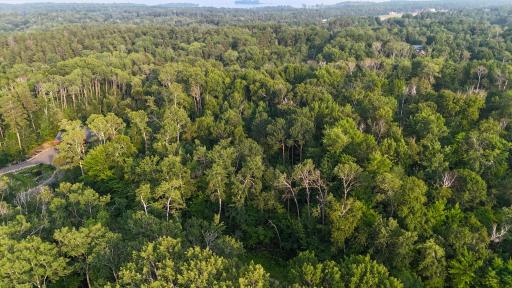 TBD Raccoon Lane, Breezy Point, MN 56472