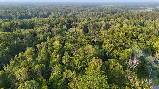 TBD Raccoon Lane, Breezy Point, MN 56472