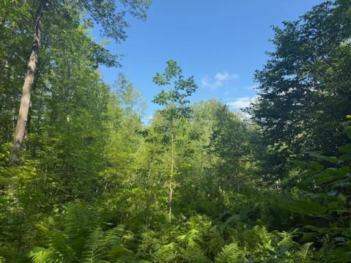 18xxx 160th Street, Finlayson, MN 55735