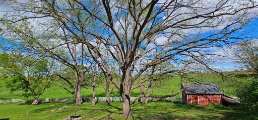 16128 331st Avenue, Harmony, MN 55939