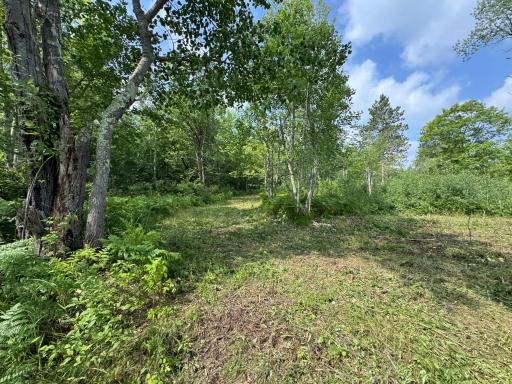 58xxx State Hwy 23, Sandstone, MN 55072
