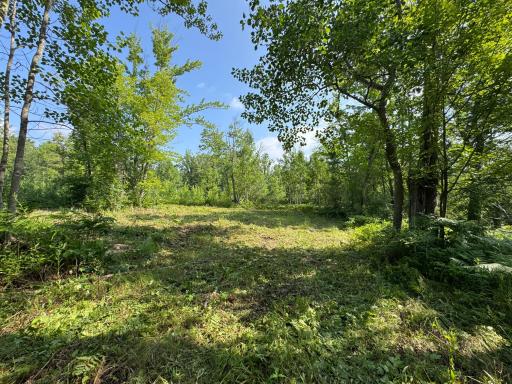 58xxx State Hwy 23, Sandstone, MN 55072