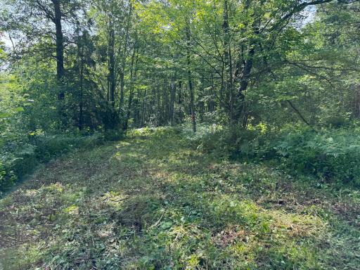 58xxx State Hwy 23, Sandstone, MN 55072