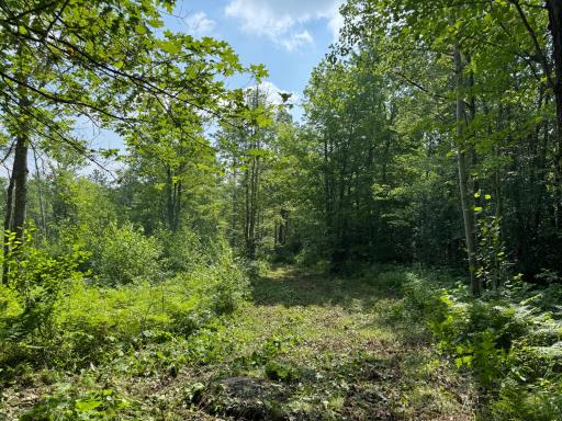 58xxx State Hwy 23, Sandstone, MN 55072