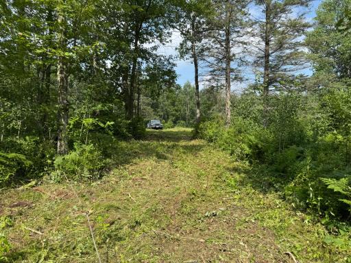 58xxx State Hwy 23, Sandstone, MN 55072