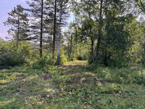 58xxx State Hwy 23, Sandstone, MN 55072