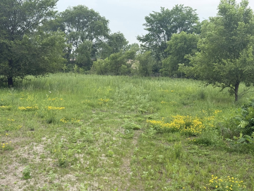 xxx Kenrick Avenue, Lakeville, MN 55044