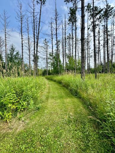 32625 593rd Avenue, Warroad, MN 56763