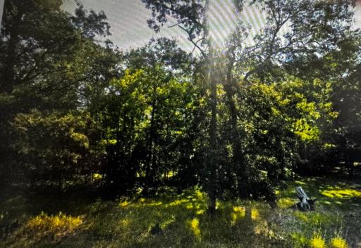 340 State 84 SW, Pine River, MN 56474