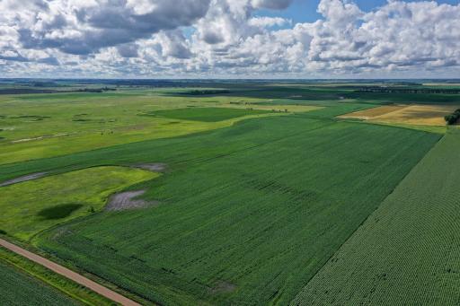TBD 200th Street, Rothsay, MN 56579