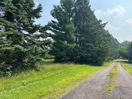Looking down 282nd Lane with the lot on the left..lovely evergreens along the edges for excellent privacy opening up to lovely field/meadow area inside!
