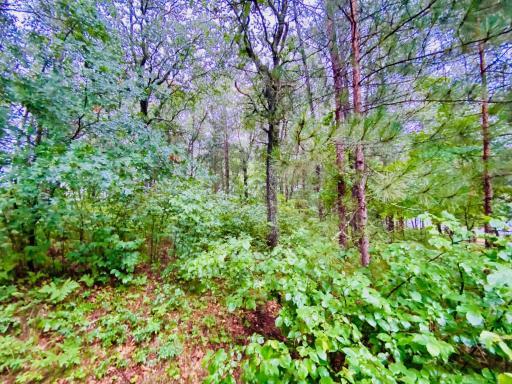 0 North Point Drive, Minong, WI 54859