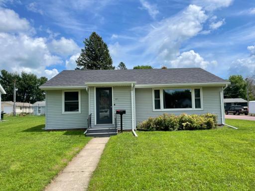 501 N Jackson Avenue, Springfield, MN 56087