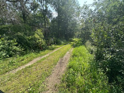 XX County Rd. 8, Garrison, MN 56450