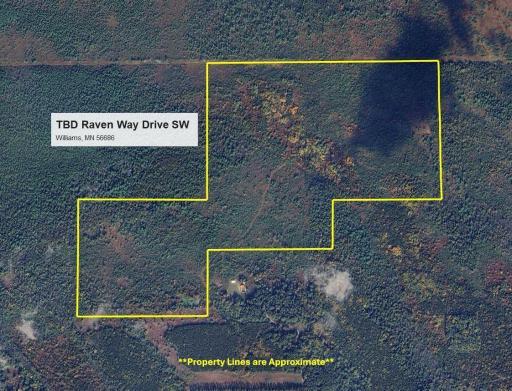 TBD Raven Way SW, Williams, MN 56686