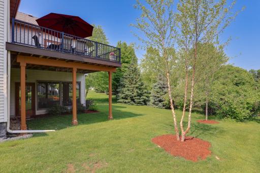 Walk Out Rear Yard 13478 Clearwater Cir.jpg