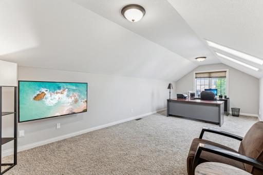 13478 Clearwater Cir Rogers MN 55374 - Bonus Room.jpg