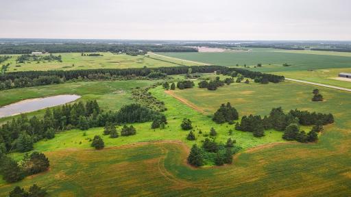 7887 State Highway 29 N, Carlos, MN 56319