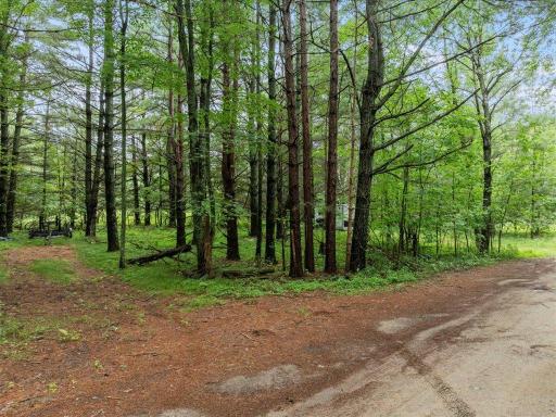 10030 Starlite Trail NW, Walker, MN 56484