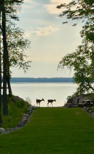 10030 Starlite Trail NW, Walker, MN 56484