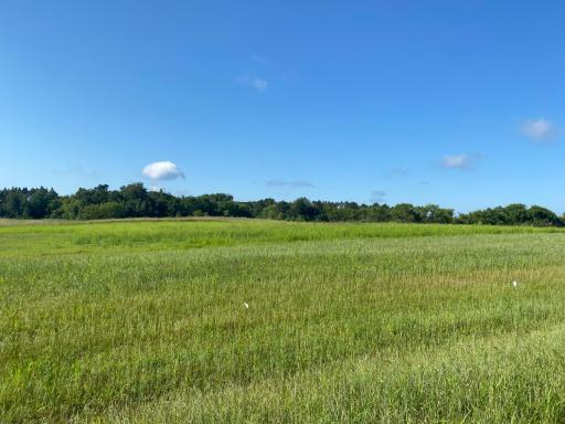 TBD 280th Avenue NW, Zimmerman, MN 55398