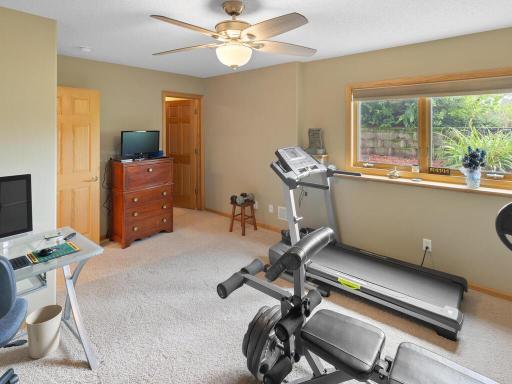 13x15 Lower 4th Bedroom with 6x10 Walk-in Closet