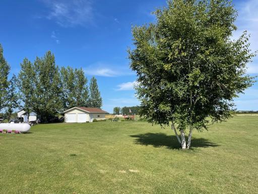 29852 400th Avenue, Roseau, MN 56751