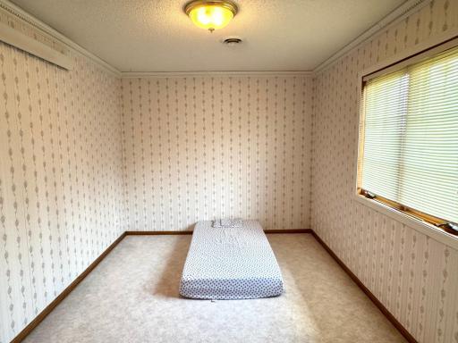 29852 400th Avenue, Roseau, MN 56751