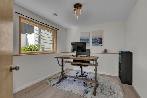 Third Bedroom in Lower Level - Makes for Perfect Office Space as Well