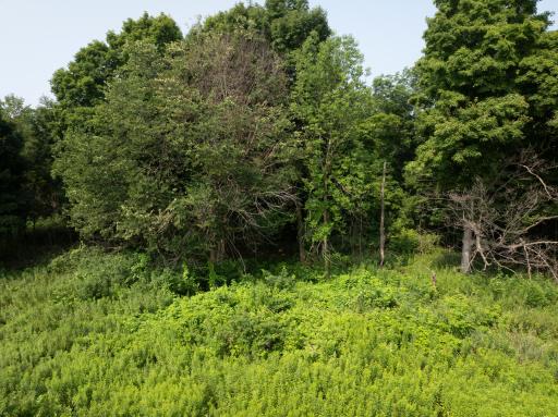 DJI_0738.jpg