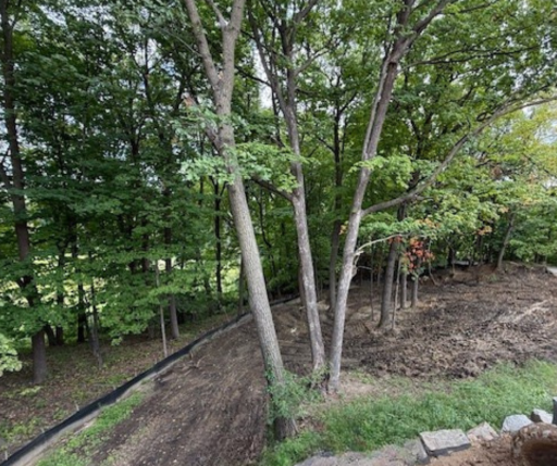 20381 Excelsior Boulevard, Excelsior, MN 55331