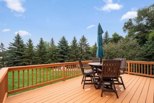 South facing, private backyard deck built in 2010 overlooks the fully fenced yard all ready for pets and kids!