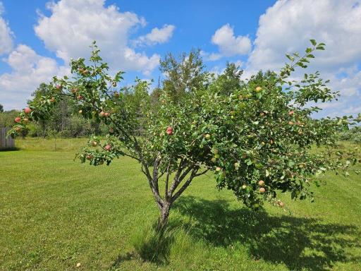 Photo for 38463 233rd Avenue, Bagley, MN 56621 - Listing #6762390 38463 233rd Avenue, Bagley, MN 56621